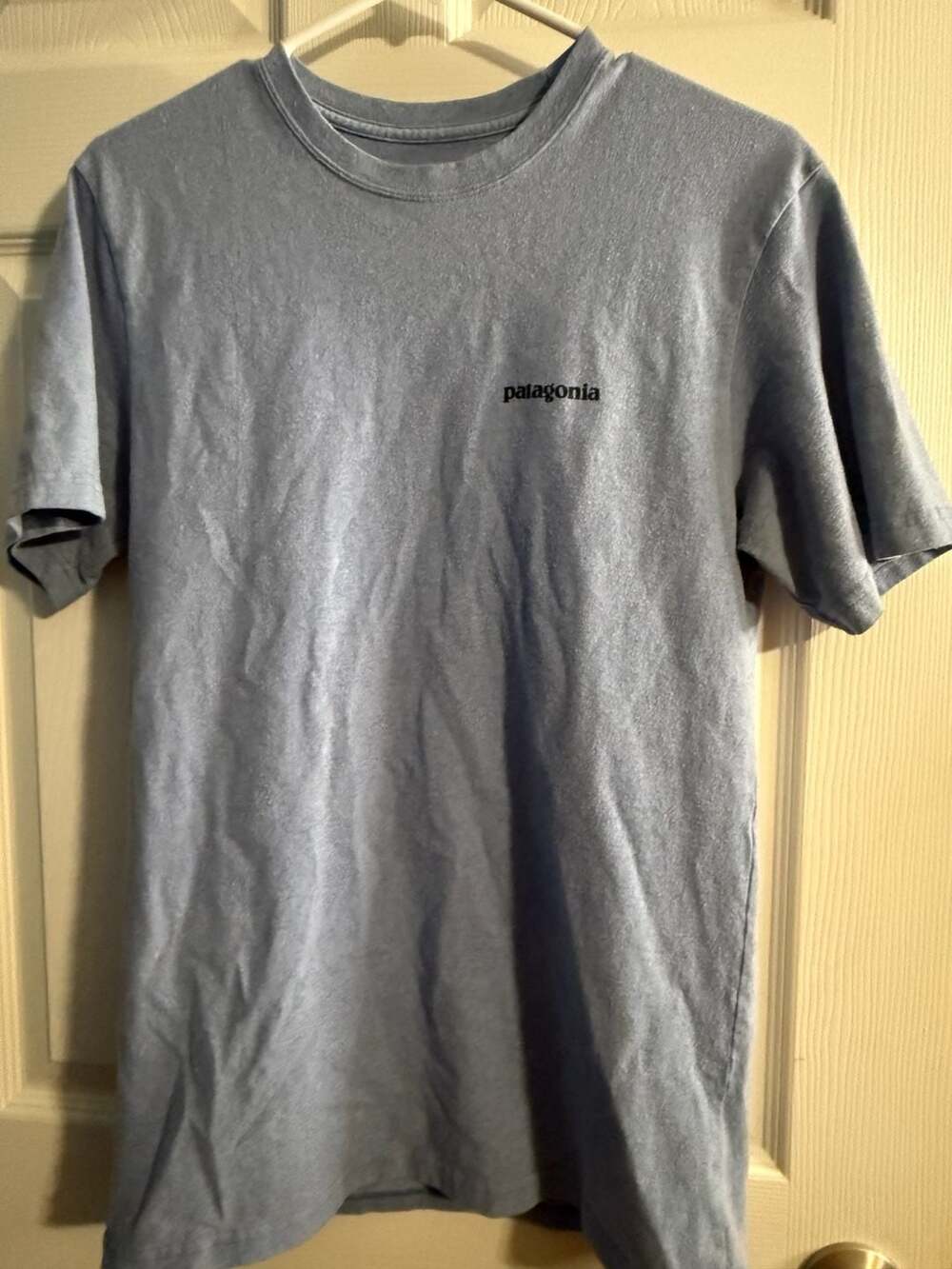 Patagonia Men's Fitz Roy Trout Responsibili-Tee Graphic T-Shirt Blue Size S